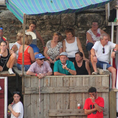 toros 16 agosto 2025 (15)